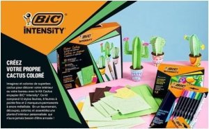 Zestaw Intensity Paper Cactus BIC 1