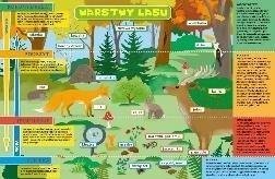 Podkładka na biurko - Warstwy lasu i łąka 1