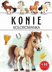 Kolorowanka. Konie 1