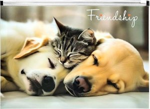 Koperta A4 PP z nadrukiem zip Friendship 1