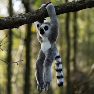 Pluszowy lemur na rzepy 1