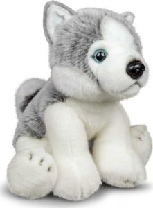 Pluszowy Husky 1