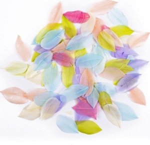 Pióra gęsie pastel 6cm 5g 1