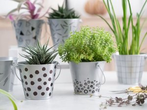 Staedtler Foliopis Lumocolor M waterproof zestaw (2 3 5 9) w etui box 4