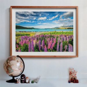 Clementoni Puzzle Compact Lupins At Lake Tekapo 1500 elementów (31731) 2