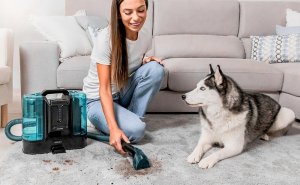 Odkurzacz piorący Cecotec Odkurzacz piorący Conga Carpet Clean Liberty 7