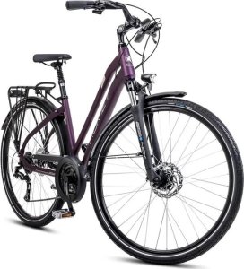 Romet Gazela 6 fioletowo-szampańska 19 L (2024) 3