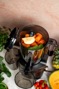 Wyciskarka wolnoobrotowa 4Swiss WB025 4