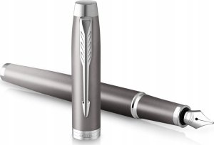 Pióro wieczne Im Writing Rituals Grey CT 4