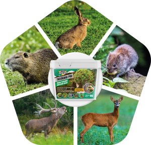 Środek Przeciwko Obgryzaniu Drzewek 1kg Odstraszacz Zwierząt Saren Jeleni Zająców Bobrów Gryzoni TreeGuard PRO 4