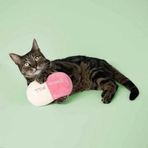 Coockoo Poduszka Zabawka Dla Kota Z Kocimiętką Tabletka 2