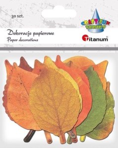 Dekoracje kartonowe Liście mix 30szt EDUKAMP 1