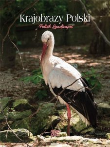 Kalendarz 2025 ścienny Krajobrazy Polski EDUKAMP 1