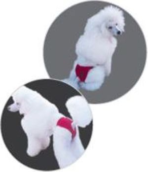 Grande Finale WET MAJTKI NA CIECZKĘ CZARNE ZAKAZ WJAZDU 5 [M13] 2