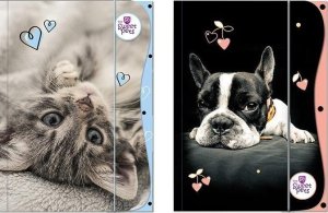 Teczka z gumką A4 The Sweet Pets EDUKAMP 1