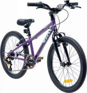 Dziecięcy Rower NINJA 20 2