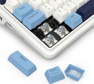 Klawiatura Redragon Antonium Pro Leopard L (Antonium Pro K728WBB-RGB-PRO) 6