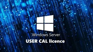 fujitsu technology solutions FUJITSU WINSVR CAL 2025 10User 1