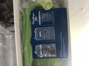 KOSMOS 632137 Carnivorous plants, plant your own insectivores, complete set for cultivation 3