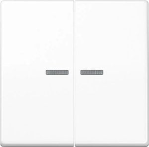 Jung BTAS17102WW Jung Home button 2-way Alpine white 1