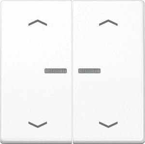 Jung BTAS17102PWW Jung Home button 2-way with arrow symbols Alpine white 1