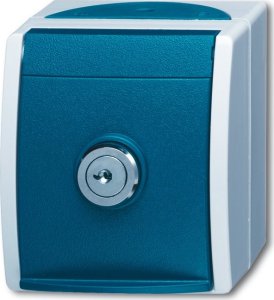 Busch-Jaeger 20 EWSL-53 Schuko socket 1