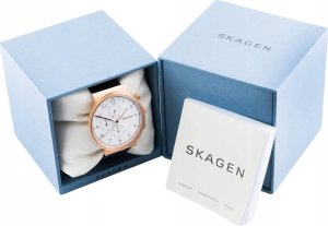 Zegarek Damski Skagen Signatur SKW2838 + BOX 9