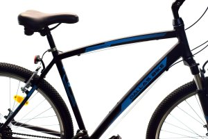 Rower Dallas MTB 29" 21spd - czarny z niebieskim 2