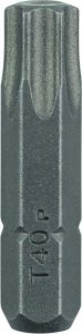 Bosch BITS T40 25MM 1/4 STANDARD 2STK 4