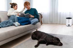 Nawilżacz powietrza filtr odkamieniający aromaterapia pilot timer podświetlenie Bauerkraft 6