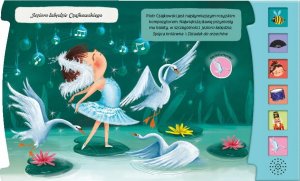 Klasyczne melodie 14638 2