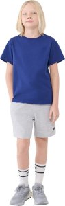 Koszulka dla chłopca 4F M2324 kobalt 4FJWSS25TTSHM2324 36S 152cm 6