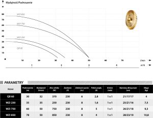 Hydrophore IBO WZI 750 24L, 8 m-50l/min-60m-750W 2