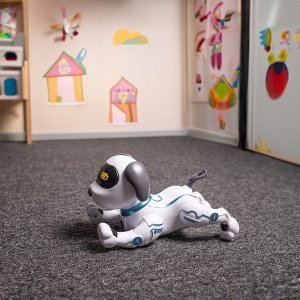 Maxife ANR926944 Remote-controlled Toy dog 2