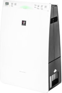 Filtry HEPA i węglowy do oczyszczacza Sharp FP-F30EUH KC-F32EU-W Zestaw 2