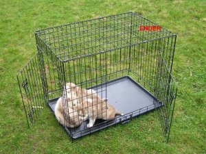 Ender KLATKA TRANSPORTER KOJEC dla Psa Psów 60x45x53cm M 9