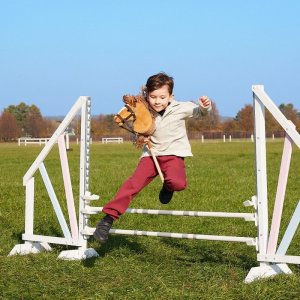 Tootiny Koń na kiju Hobby Horse HOPPIHORSE A4 Chestnut - brąz, maść kasztanowata 10