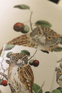 Notes Field Notes Birds and Trees of North America 4