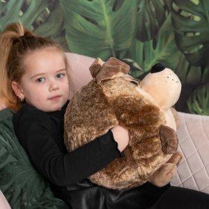 Pies Poduszka i pluszowy ogrzewacz do dłoni Cozy Noxxiez HW707 3