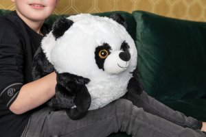 Panda Poduszka i pluszowy ogrzewacz do dłoni Cozy Noxxiez HW723 2