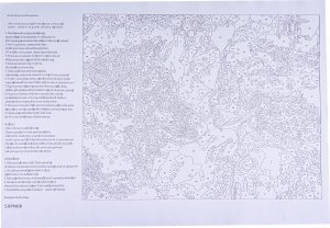 OBRAZ MALOWANIE PO NUMERACH RAMA 45x45cm SPACER W DESZCZU 4