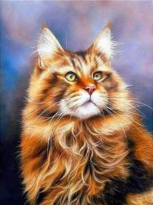 Haft Diamentowy, Obraz, Mozaika Diamentowa Diamond Painting, RUDY MAINE COON 30x40cm 1