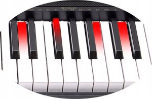 MeiKe Keyboard MEIKE Organy, Pianino 61 Klawiszy, Nauka Gry MIDI 4