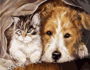 Duży obraz Malowanie po numerach Piesek i kotek 40 x 50 cm 1