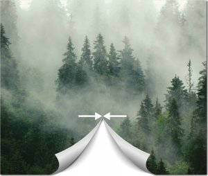 FOTOTAPETA WODOSPAD 3D LAS NATURA KRAJOBRAZ SALON TAPETA NA ŚCIANĘ 250x175 1