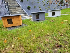 BUDA DLA MAŁEGO PSA KOTA OCIEPLANA DWUSPADOWA WOODOK LEGOWISKO KOLOR biały 5