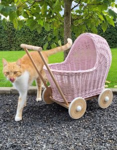 Wiklinowy wózek dla lalek pchacz - różowy 7