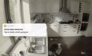 Kamera dla zwierząt Petcube Cam 360 5