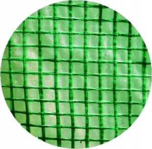 Tunel Foliowy Ogrodowy Szklarnia 2x3 6m2 Zielony na Warzywa Stelaż LEAN 5