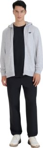Bluza męska 4F M1768 szara 4FWMM00TSWSM1768 27M XXL 6